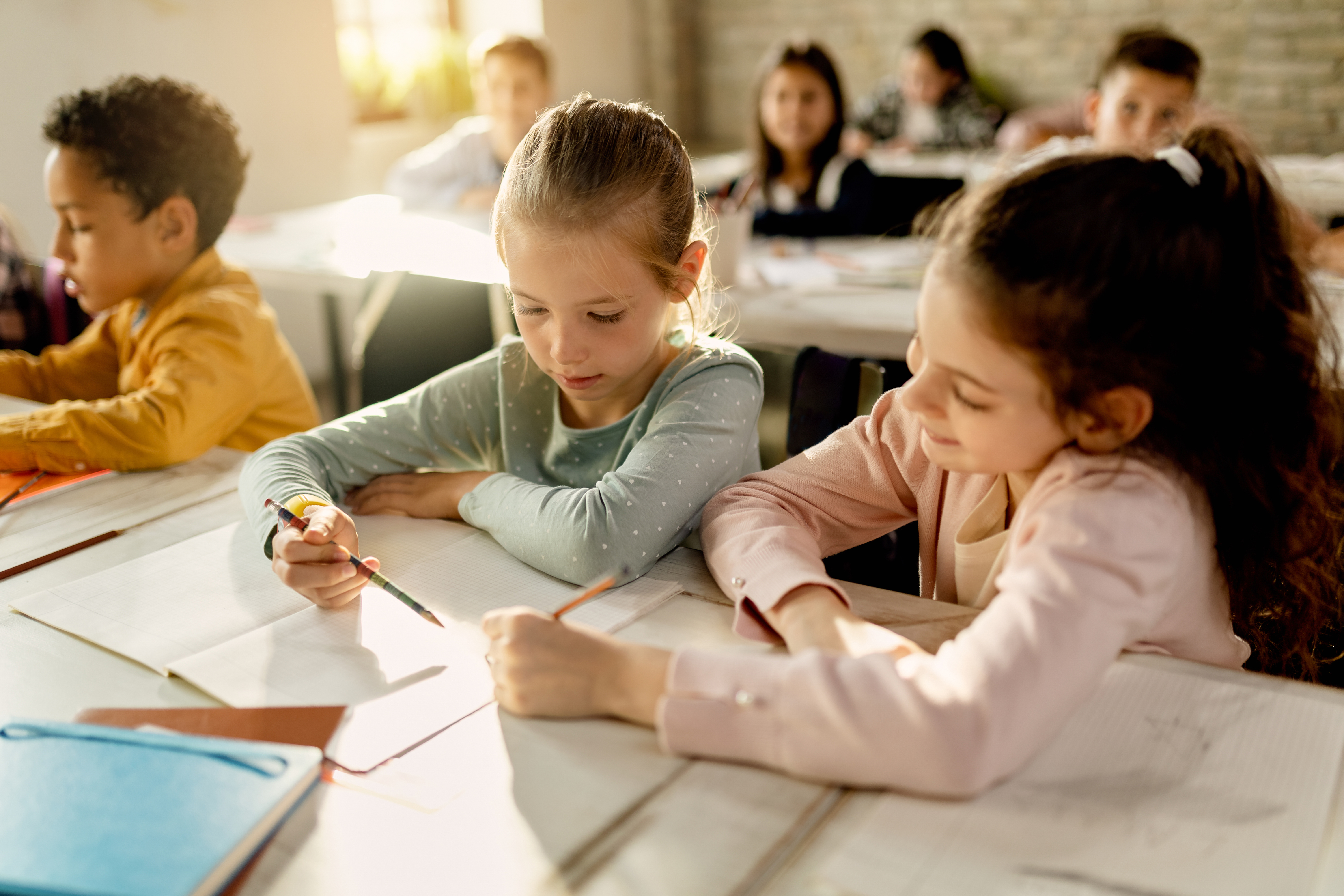 Vision de l’école
